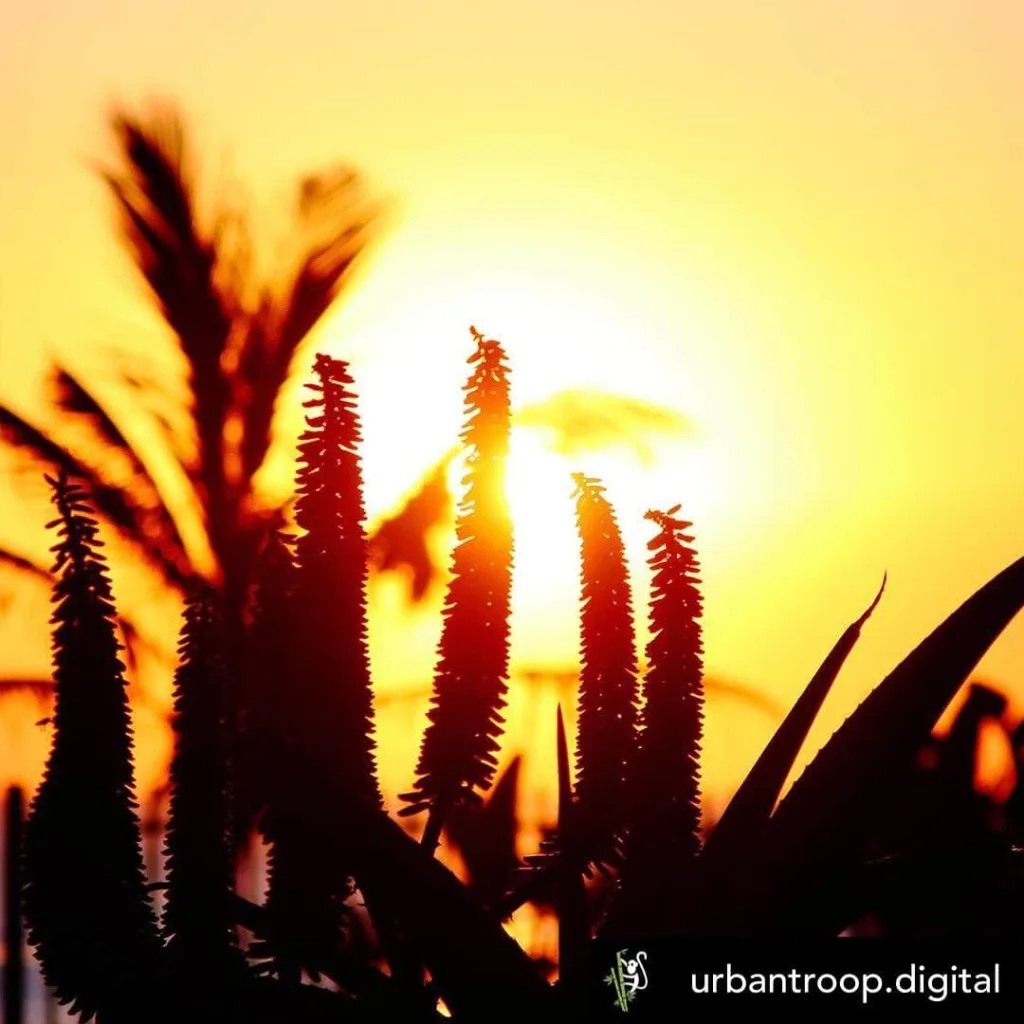 Sunrise in Durban,South Africa