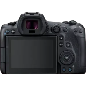 in-body image stabilization